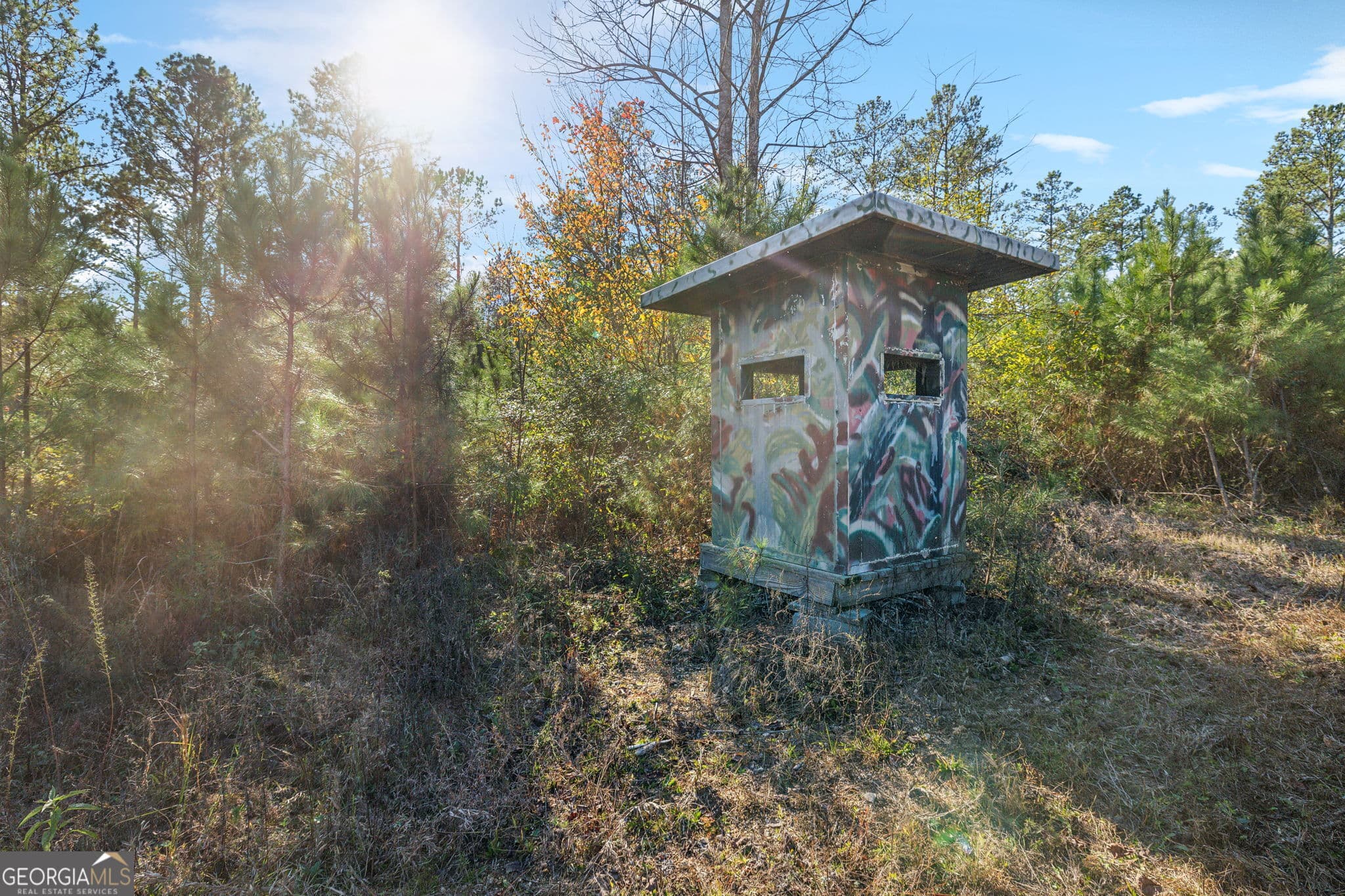 agriculture for sale at 0 County Road 62, Gaylesville, AL 35973 — photo 5