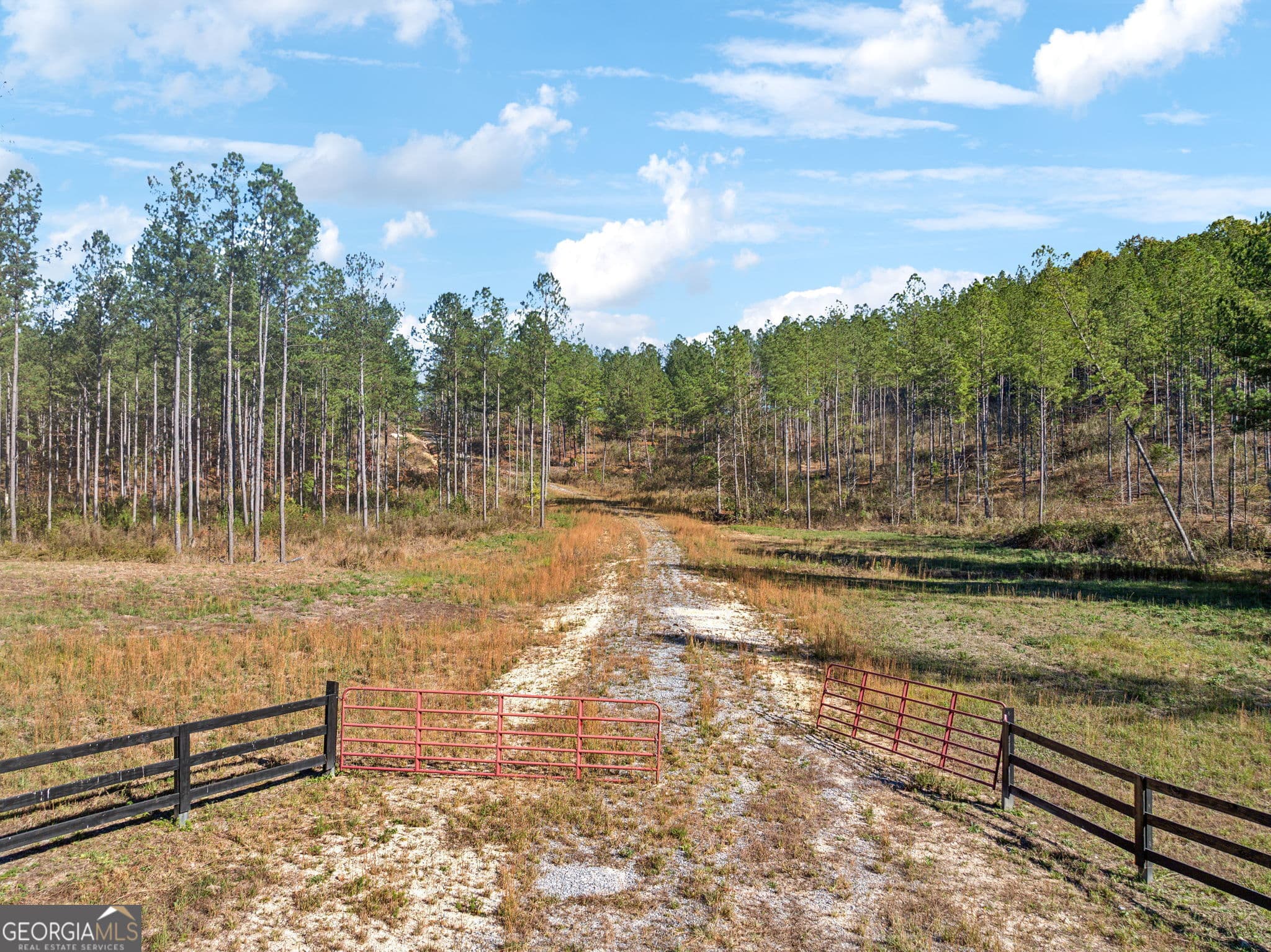 agriculture for sale at 0 County Road 62, Gaylesville, AL 35973 — photo 10