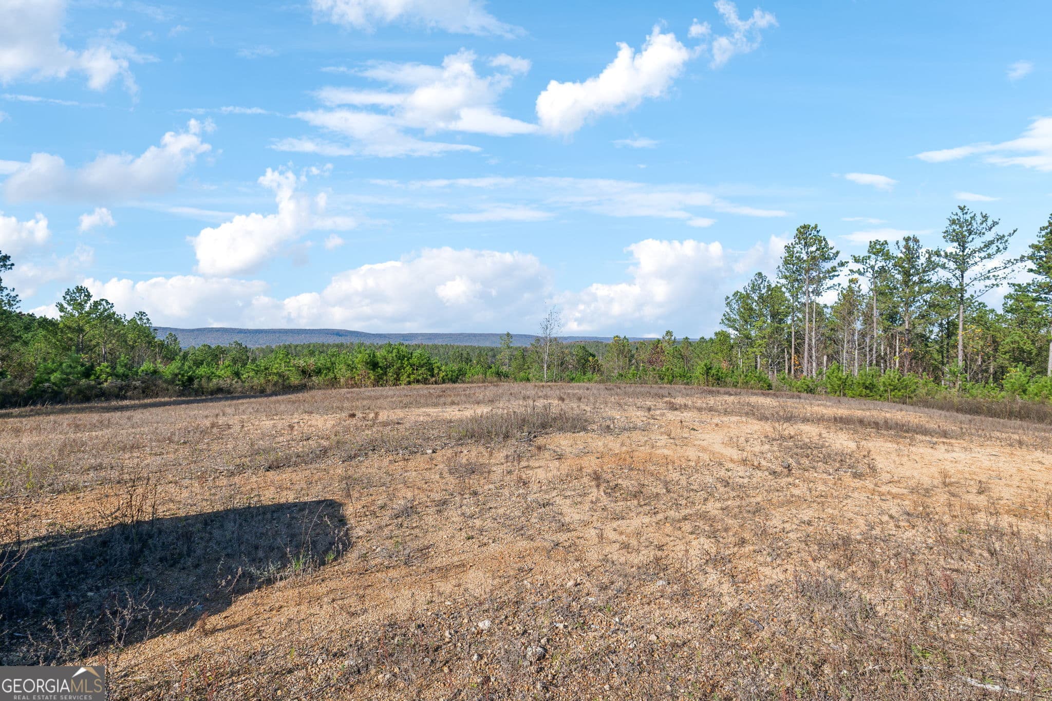 agriculture for sale at 0 County Road 62, Gaylesville, AL 35973 — photo 8