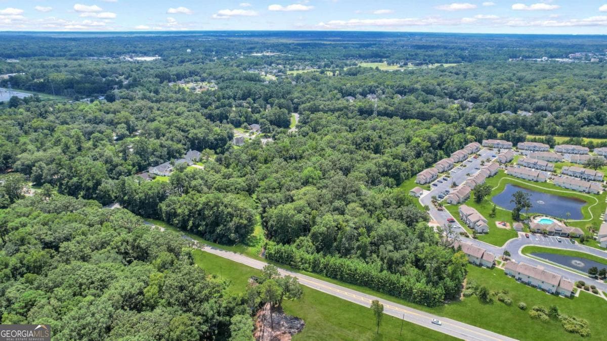 unimproved land for sale at 9.73 AC Little Neck Road, Savannah, GA 31419 — photo 6