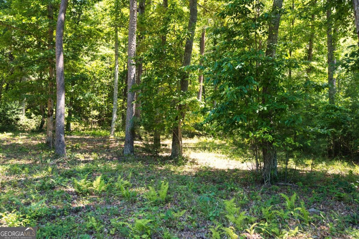 residential lot for sale at LOT 35 Hidden Harbor, Blairsville, GA 30512 — photo 6