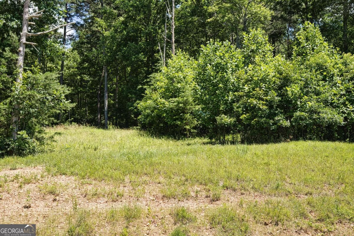 residential lot for sale at LOT 35 Hidden Harbor, Blairsville, GA 30512 — photo 7