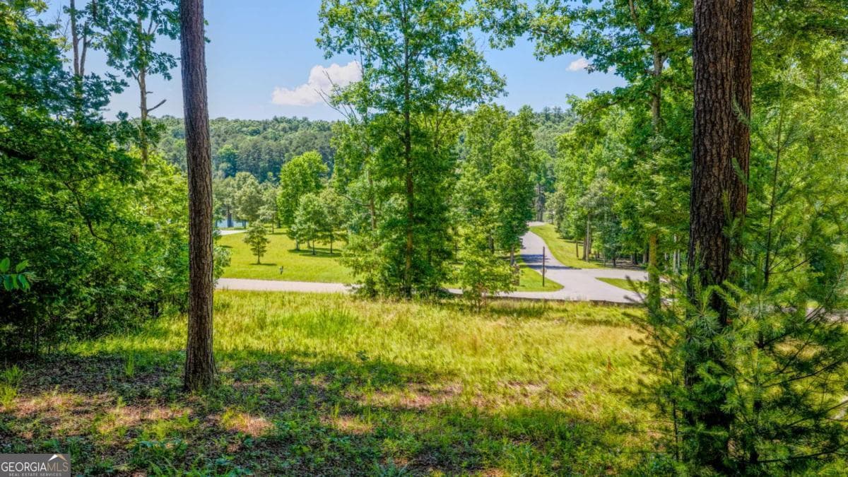 residential lot for sale at LOT 35 Hidden Harbor, Blairsville, GA 30512 — photo 5