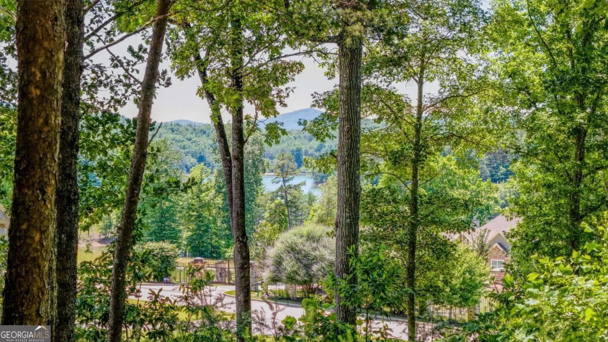 residential lot for sale at LOT 35 Hidden Harbor, Blairsville, GA 30512 — photo 4