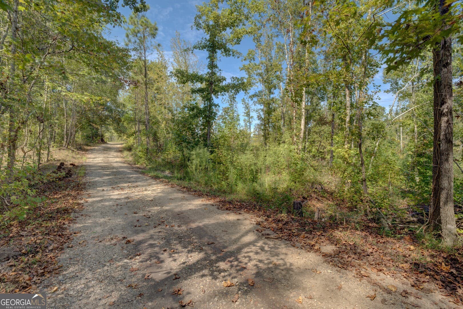 agriculture for sale at 0 Rocky Creek Road, Mansfield, GA 30055 — photo 2