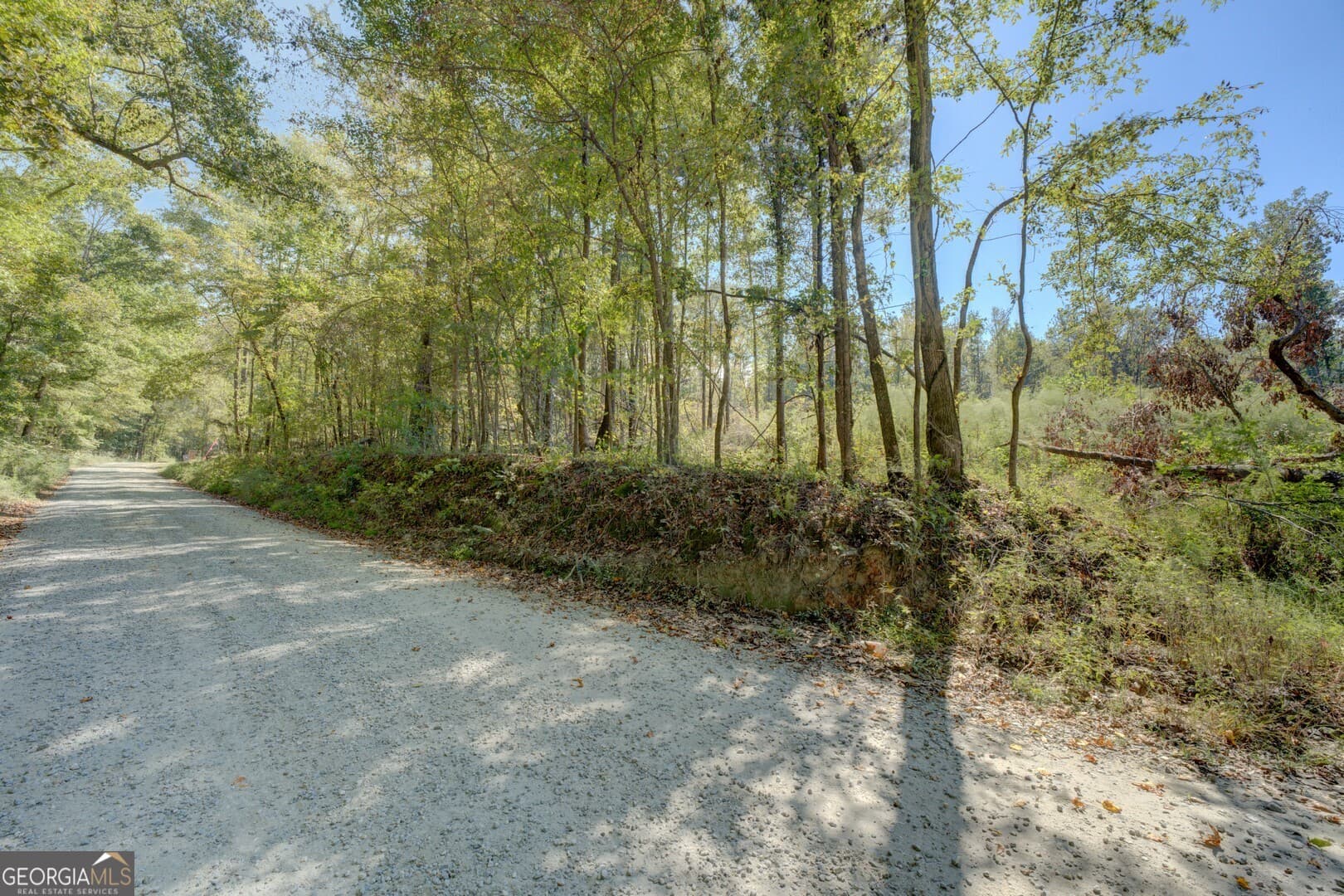 agriculture for sale at 0 Rocky Creek Road, Mansfield, GA 30055 — photo 6
