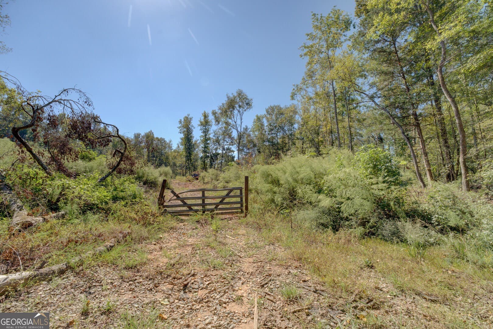 agriculture for sale at 0 Rocky Creek Road, Mansfield, GA 30055 — photo 7