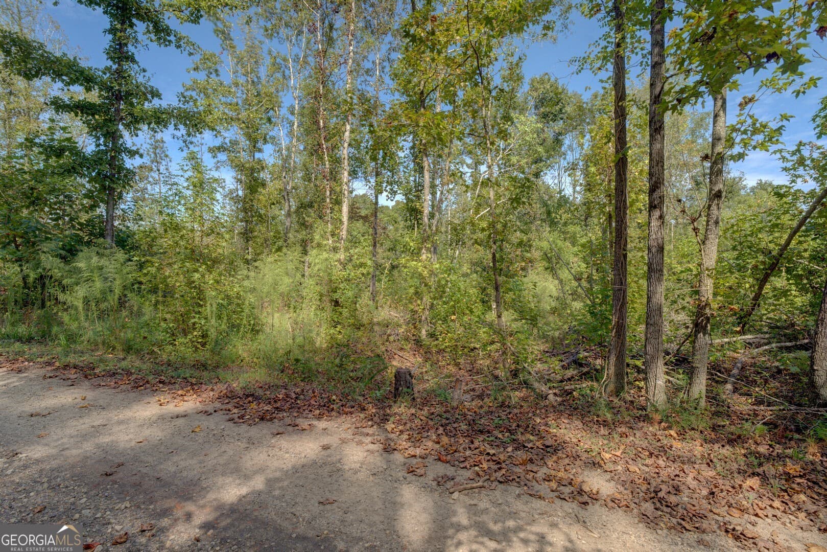 agriculture for sale at 0 Rocky Creek Road, Mansfield, GA 30055 — photo 3