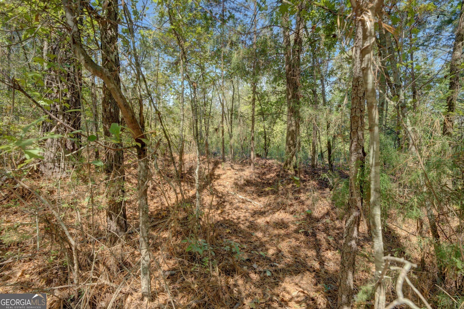 agriculture for sale at 0 Rocky Creek Road, Mansfield, GA 30055 — photo 5