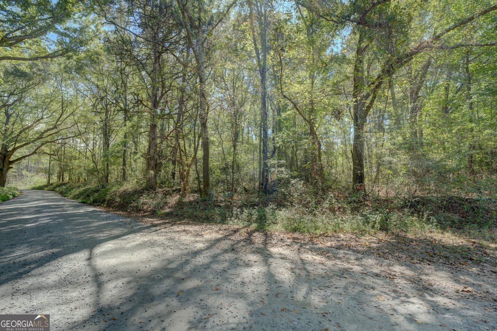 agriculture for sale at 0 Rocky Creek Road, Mansfield, GA 30055 — photo 9