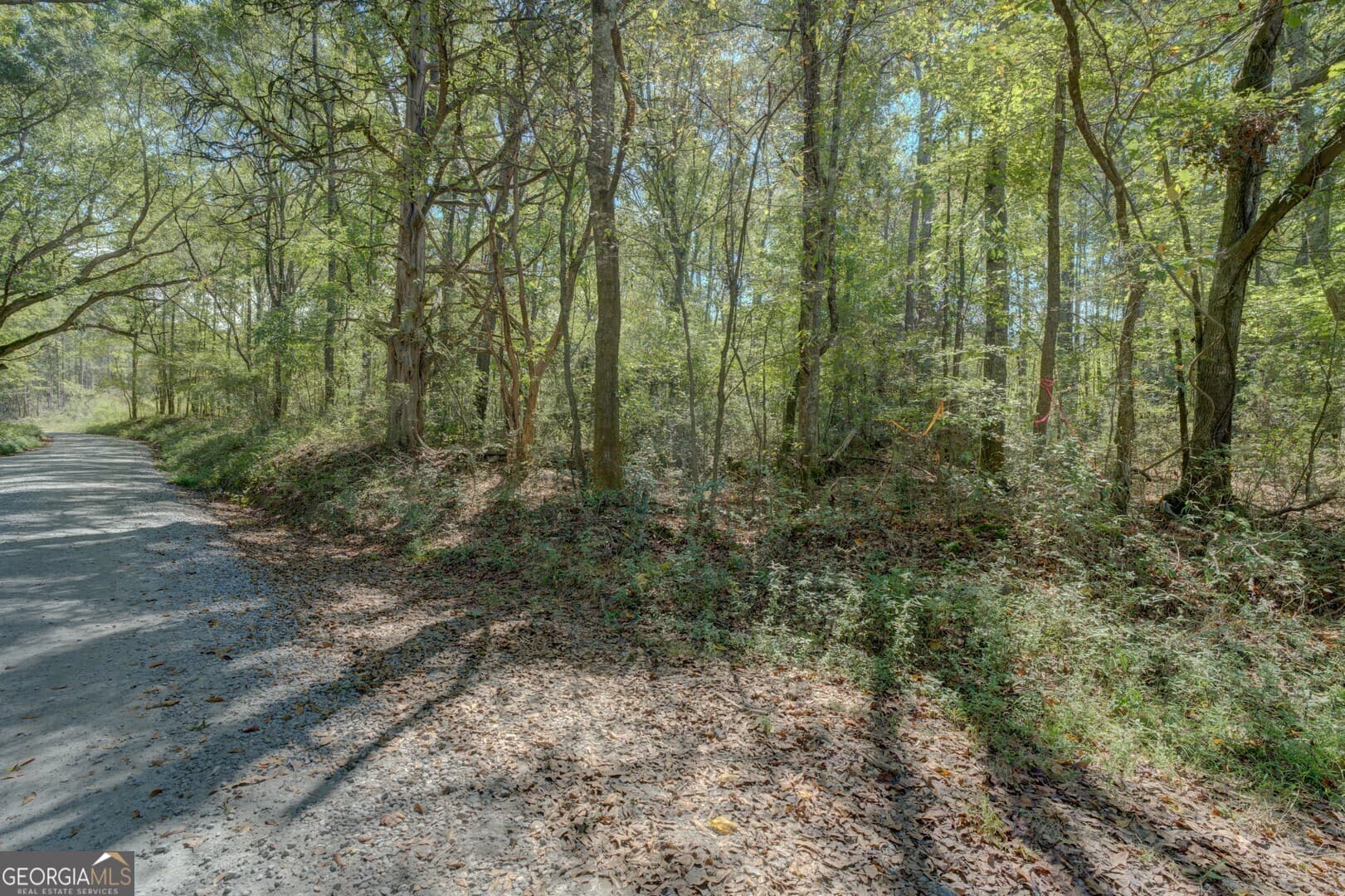 agriculture for sale at 0 Rocky Creek Road, Mansfield, GA 30055 — photo 10