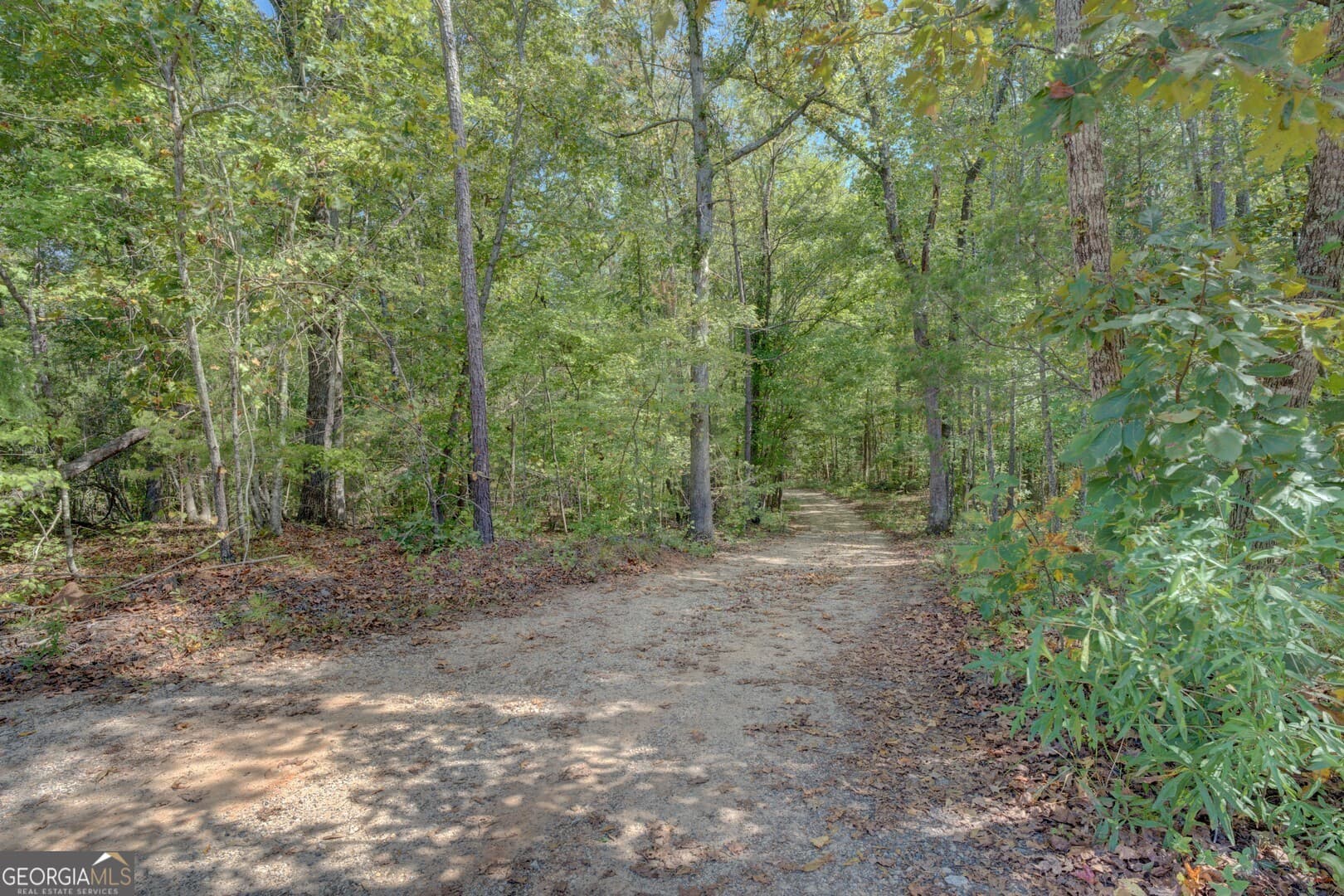 agriculture for sale at 0 Rocky Creek Road, Mansfield, GA 30055 — photo 4