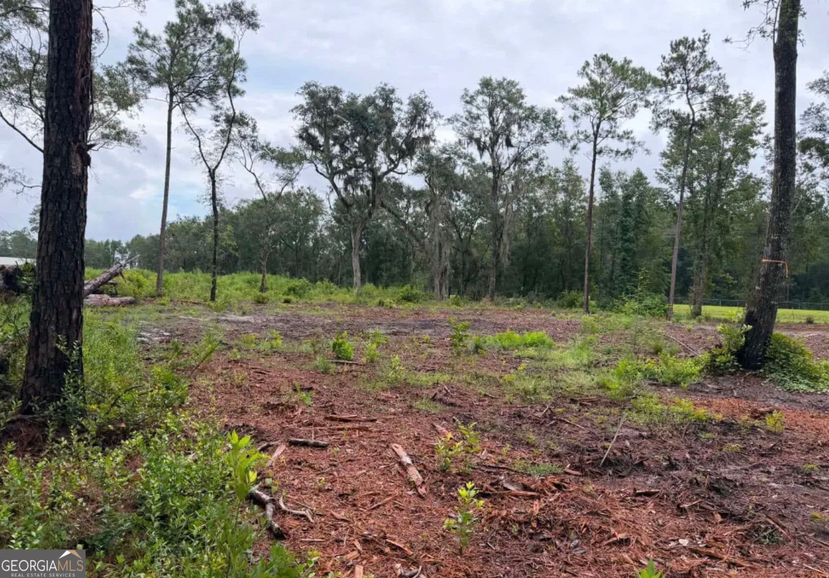 unimproved land for sale at 0 Rayland Tract CHARLIE SMITH HWY, St. Marys, GA 31558 — photo 6