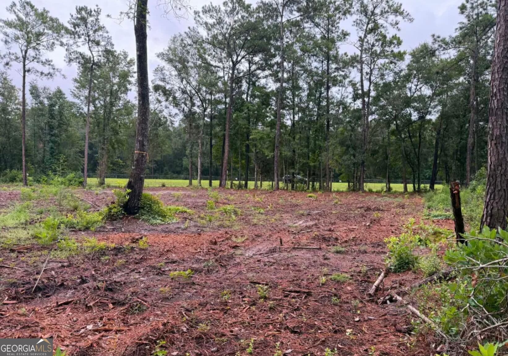 unimproved land for sale at 0 Rayland Tract CHARLIE SMITH HWY, St. Marys, GA 31558 — photo 7