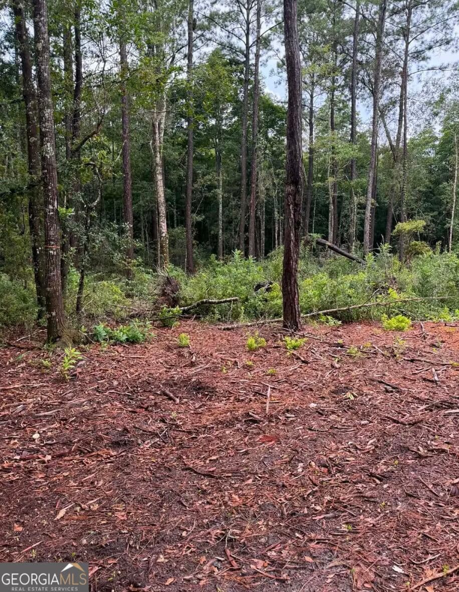 unimproved land for sale at 0 Rayland Tract CHARLIE SMITH HWY, St. Marys, GA 31558 — photo 9