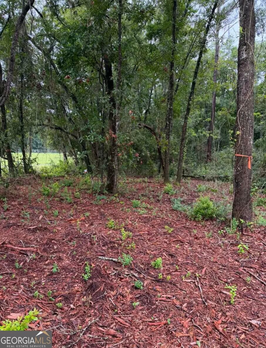 unimproved land for sale at 0 Rayland Tract CHARLIE SMITH HWY, St. Marys, GA 31558 — photo 10