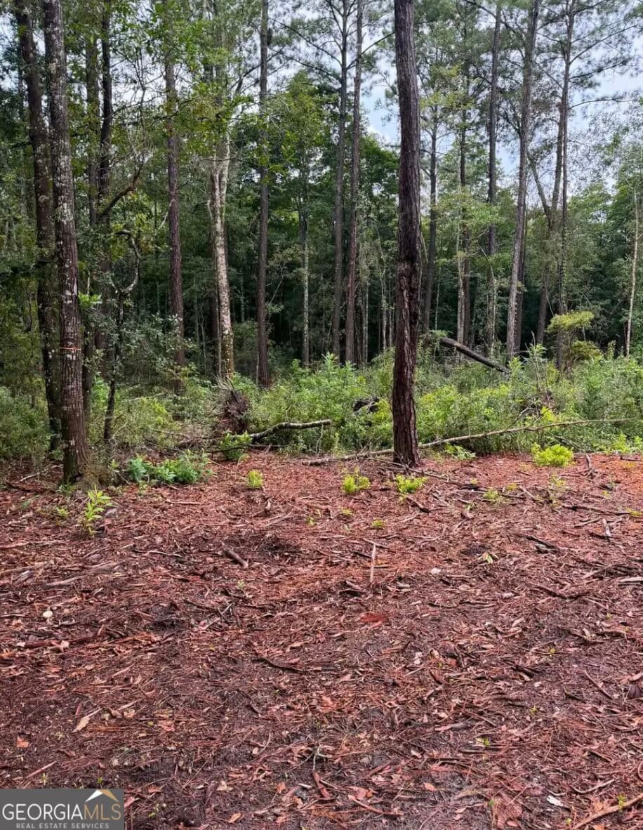 unimproved land for sale at 0 Rayland Tract CHARLIE SMITH HWY, St. Marys, GA 31558 — photo 8