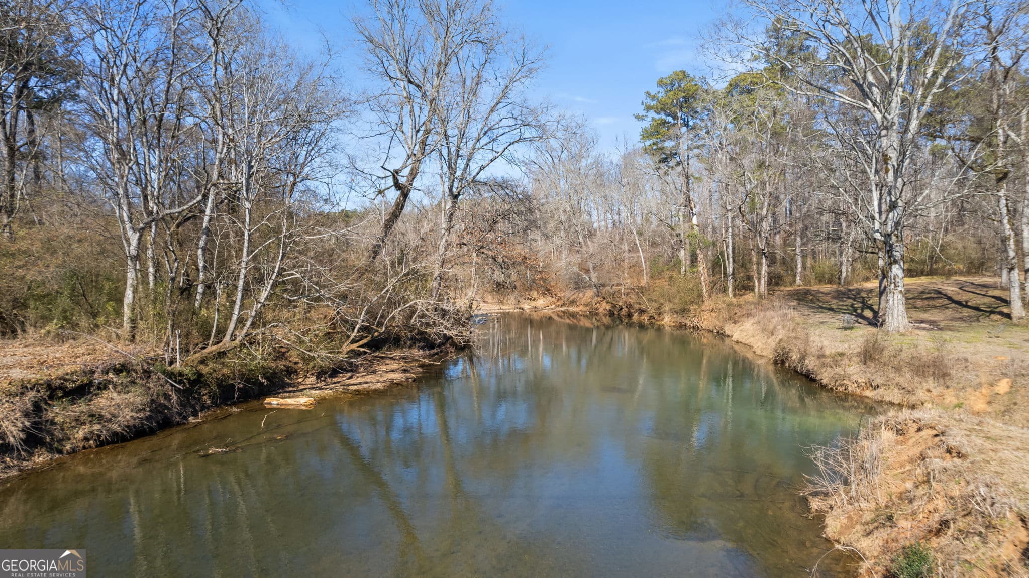 agriculture for sale at 0 Blacks Bluff Road, Cave Spring, GA 30124 — photo 2