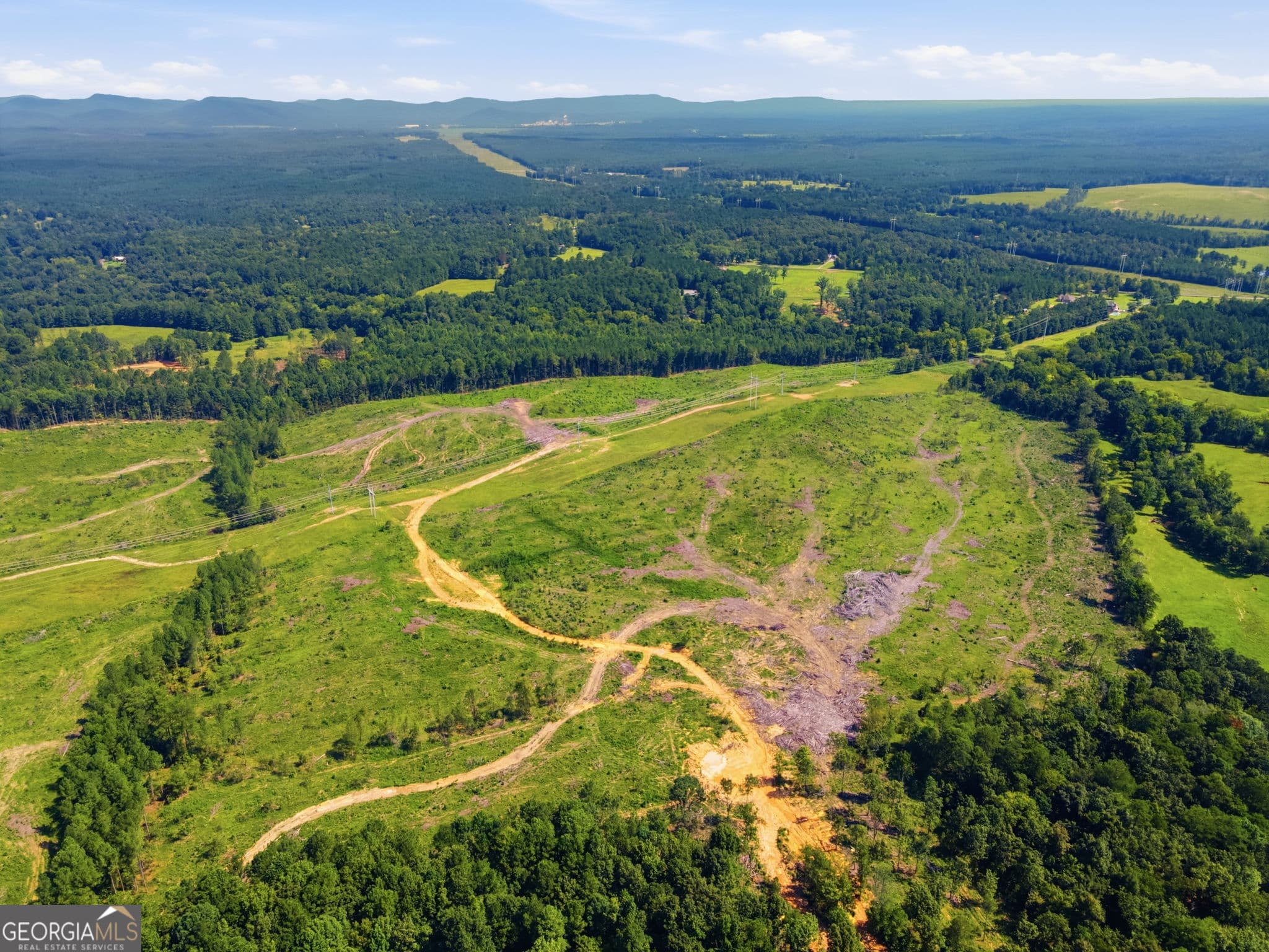 agriculture for sale at 0 Blacks Bluff Road, Cave Spring, GA 30124 — photo 3