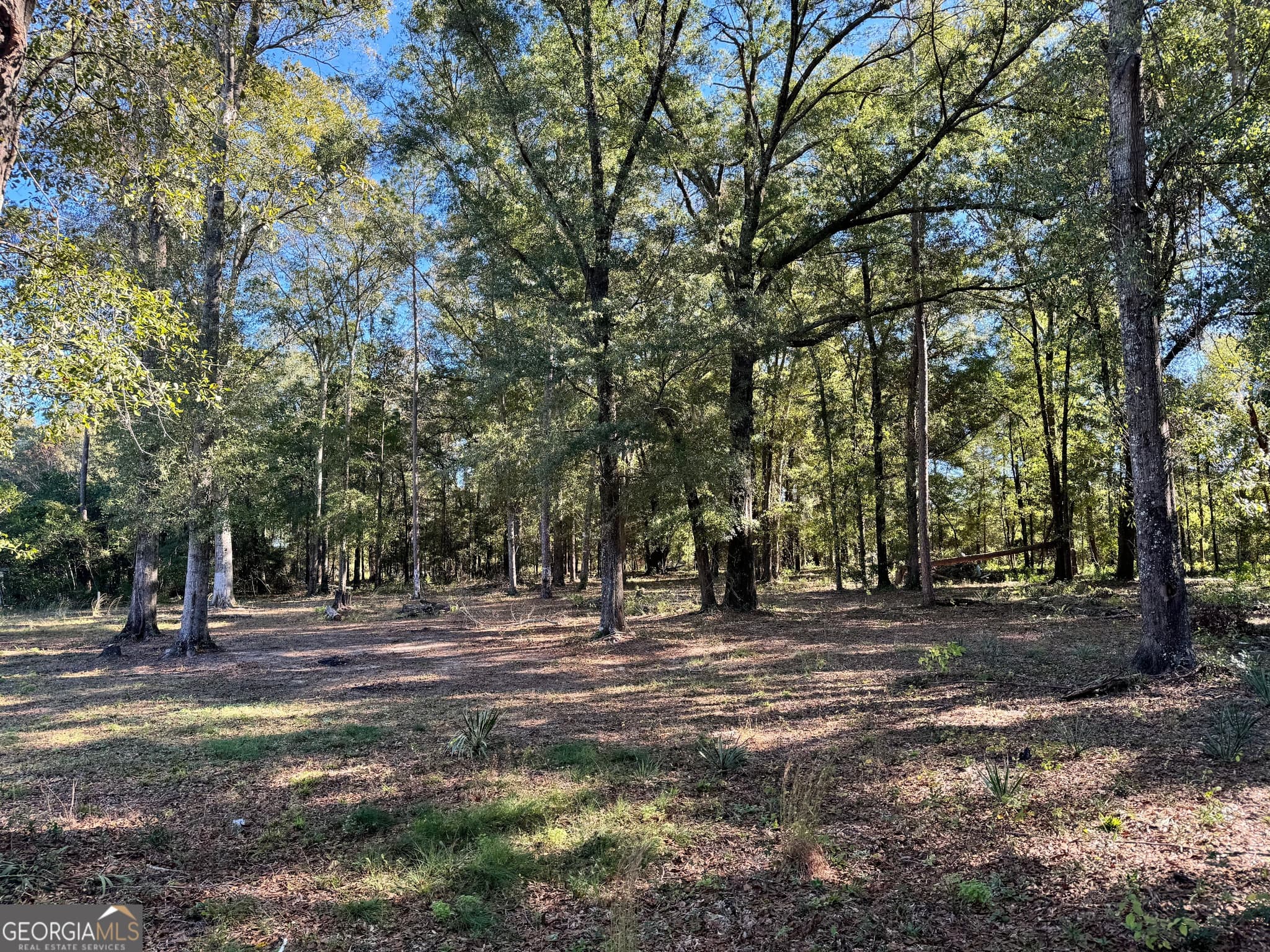 3 bedroom, 2 bathroom, 924 sq ft manufactured home,single family residence for sale at 443 Fire Station Road, Vienna, GA 31092 — photo 3