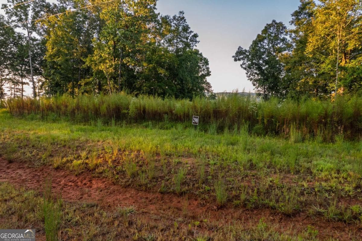 residential lot for sale at LOT 290 Anglers Ridge Road, Talking Rock, GA 30175 — photo 6