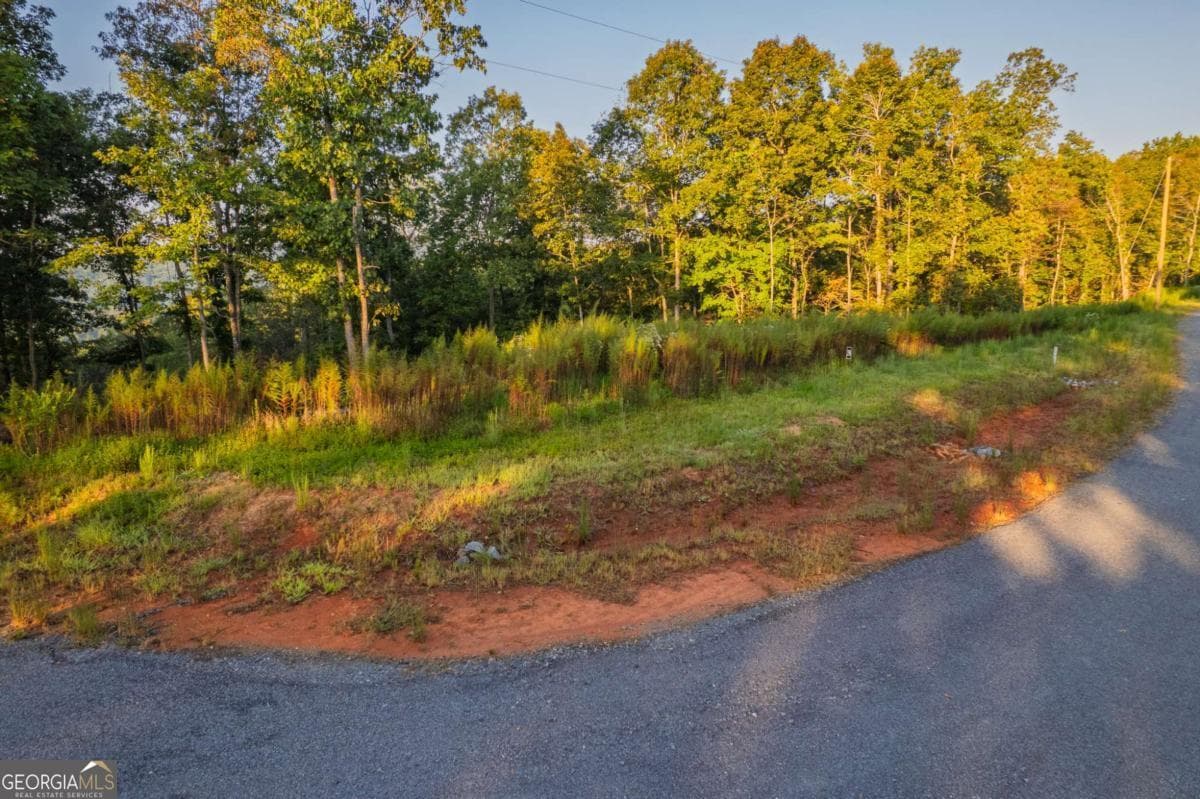 residential lot for sale at LOT 290 Anglers Ridge Road, Talking Rock, GA 30175 — photo 7
