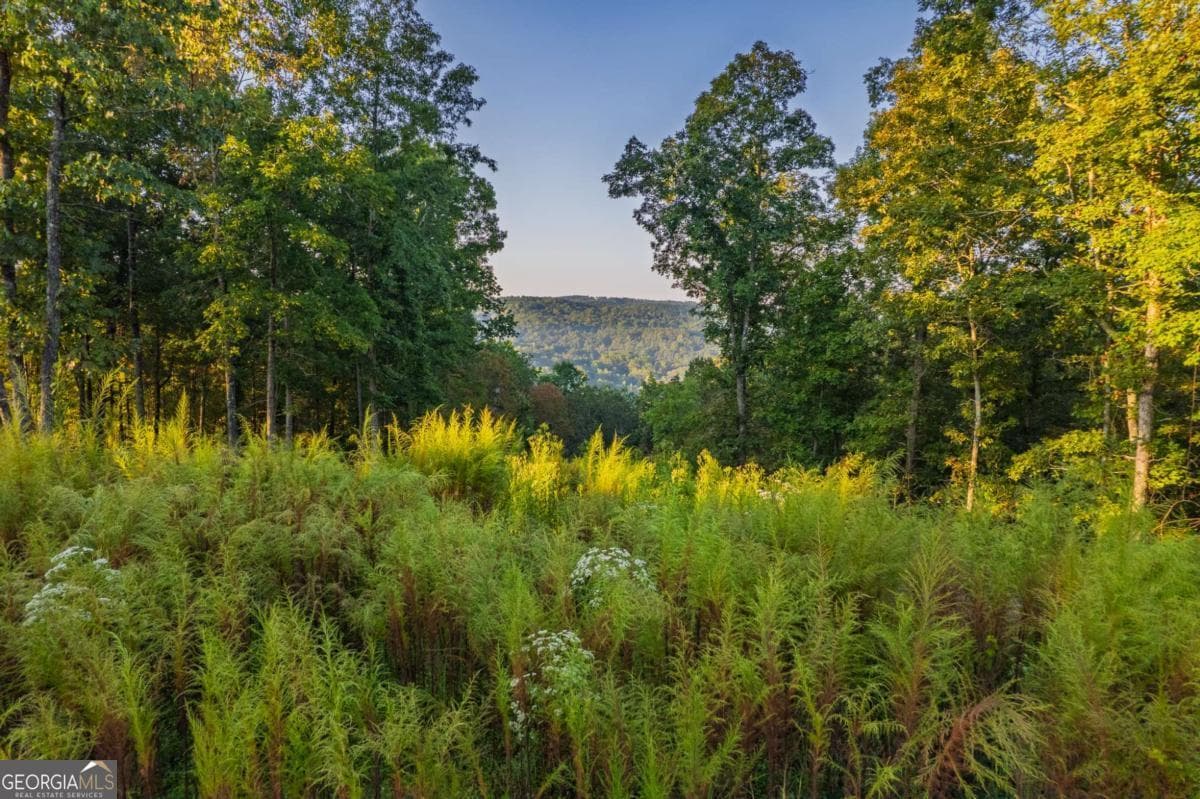 residential lot for sale at LOT 290 Anglers Ridge Road, Talking Rock, GA 30175 — photo 1 of 24