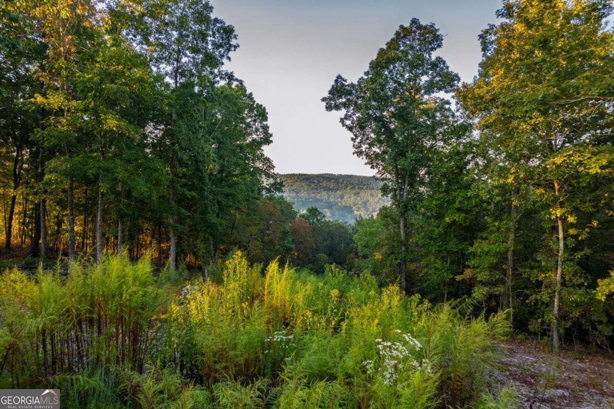 residential lot for sale at LOT 290 Anglers Ridge Road, Talking Rock, GA 30175 — photo 9