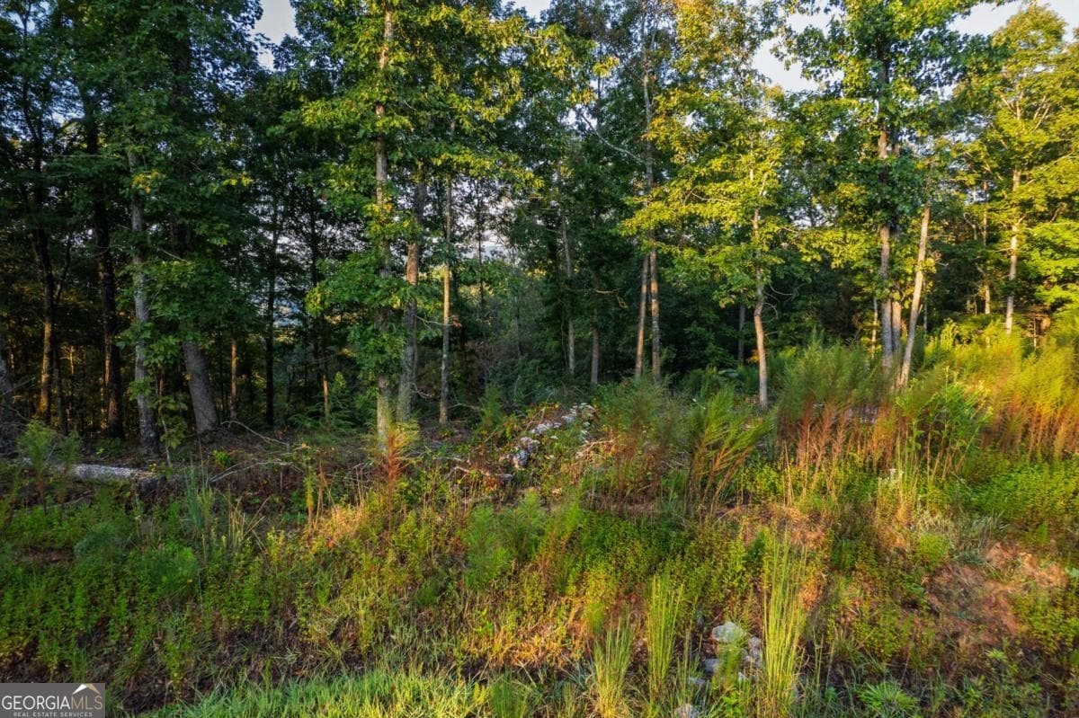 residential lot for sale at LOT 290 Anglers Ridge Road, Talking Rock, GA 30175 — photo 10