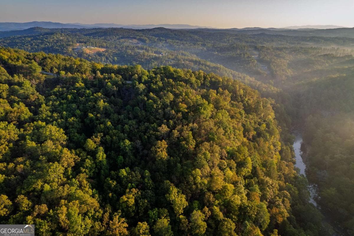residential lot for sale at LOT 290 Anglers Ridge Road, Talking Rock, GA 30175 — photo 4