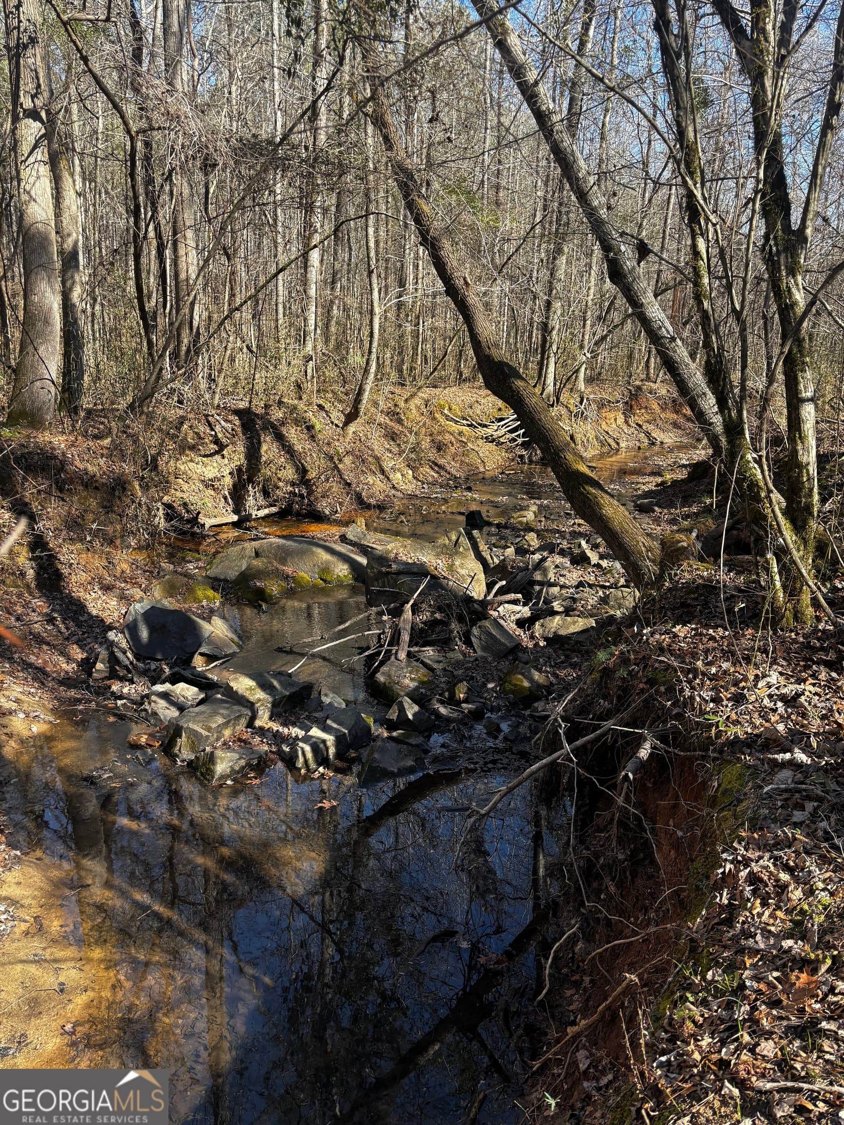 unimproved land for sale at 0 Thaxton Road, Rayle, GA 30660 — photo 2