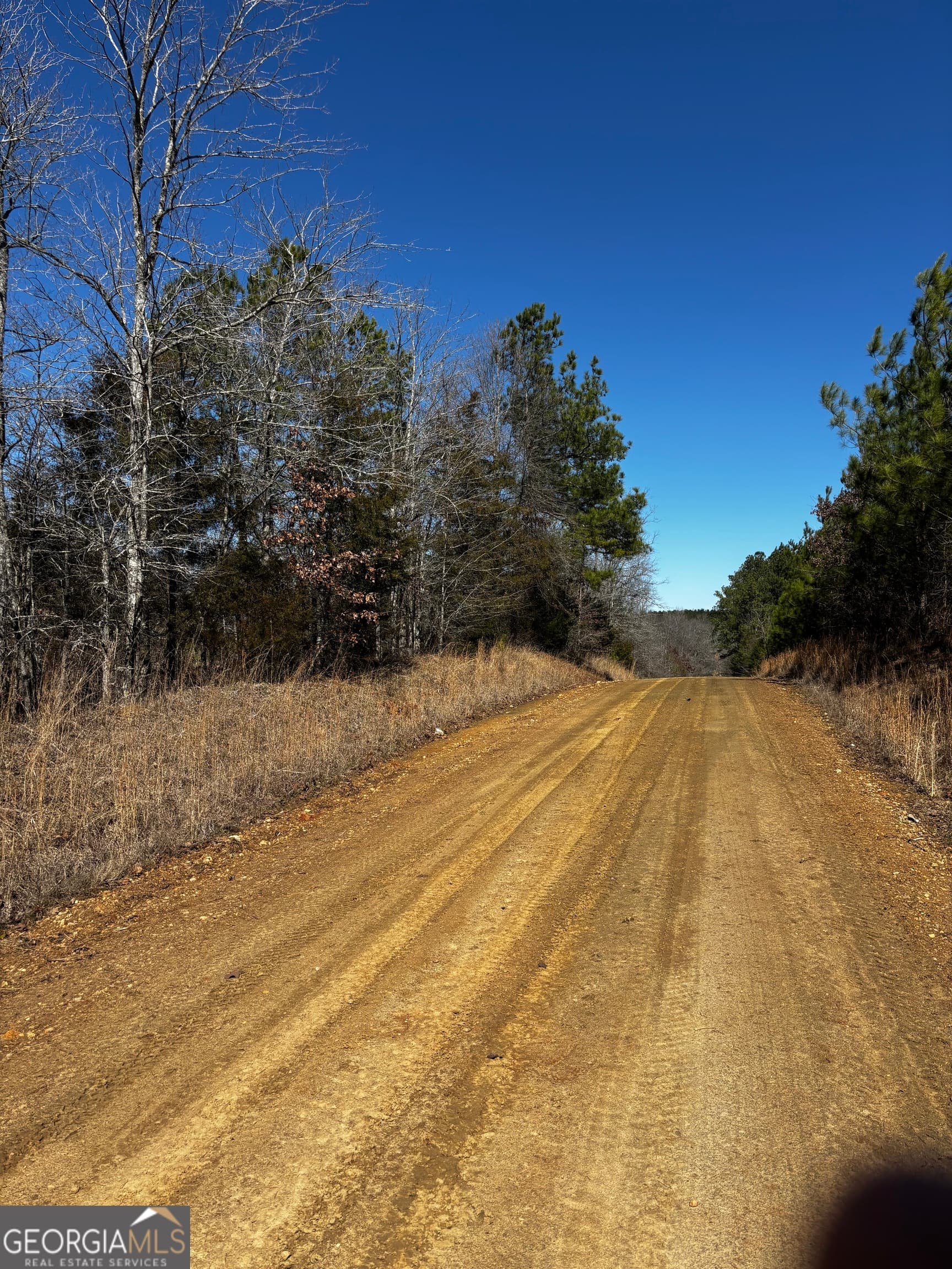 unimproved land for sale at 0 Thaxton Road, Rayle, GA 30660 — photo 3