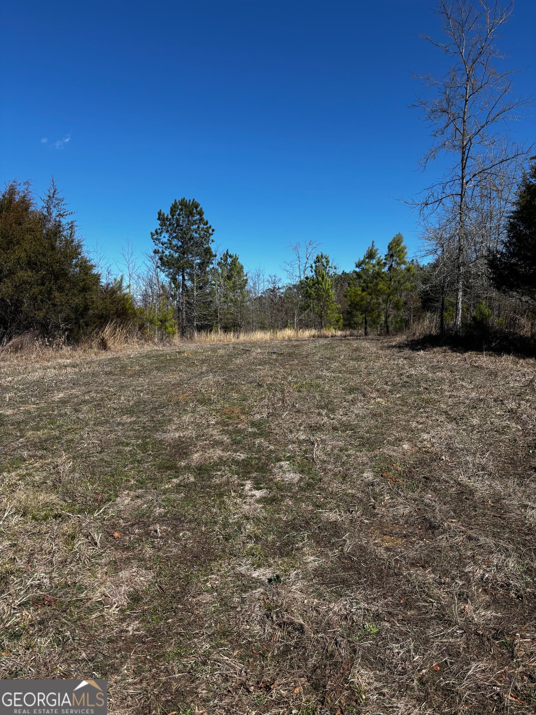 unimproved land for sale at 0 Thaxton Road, Rayle, GA 30660 — photo 5