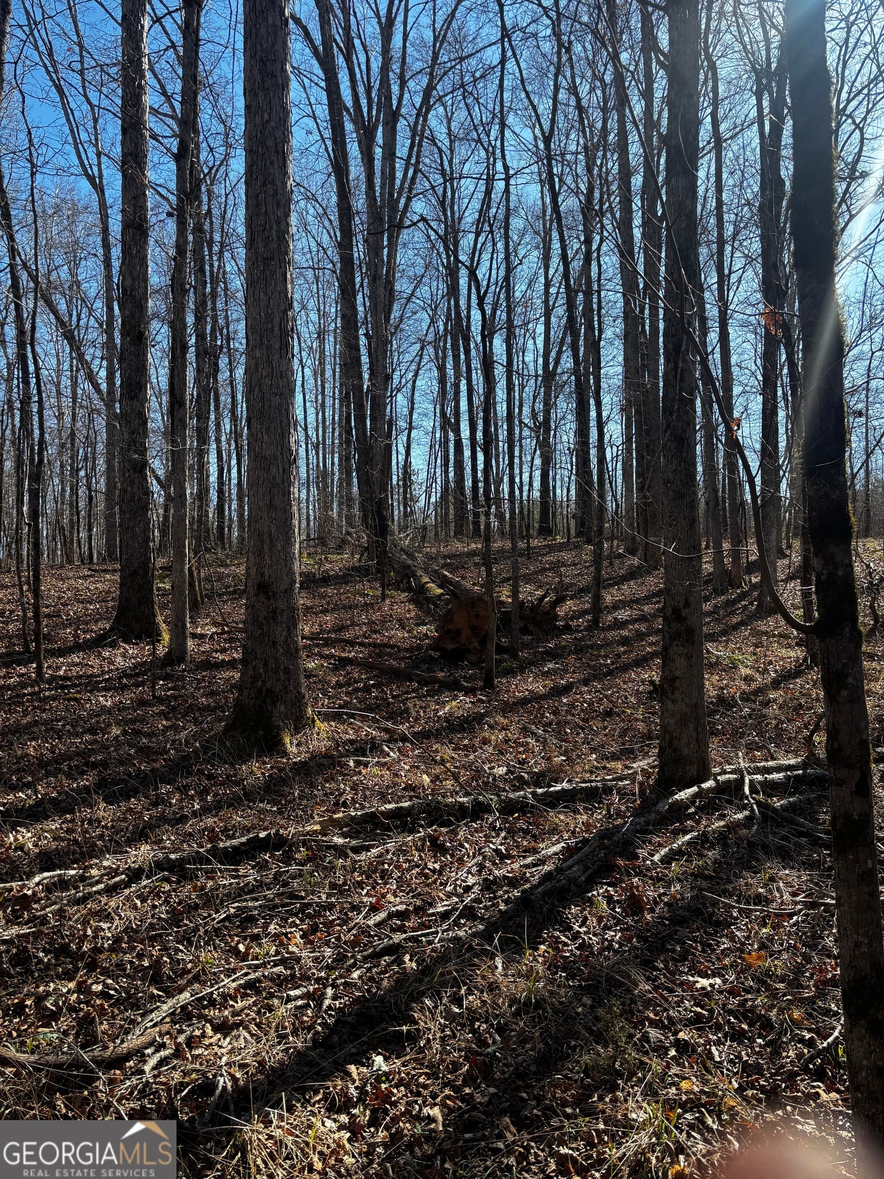 unimproved land for sale at 0 Thaxton Road, Rayle, GA 30660 — photo 9
