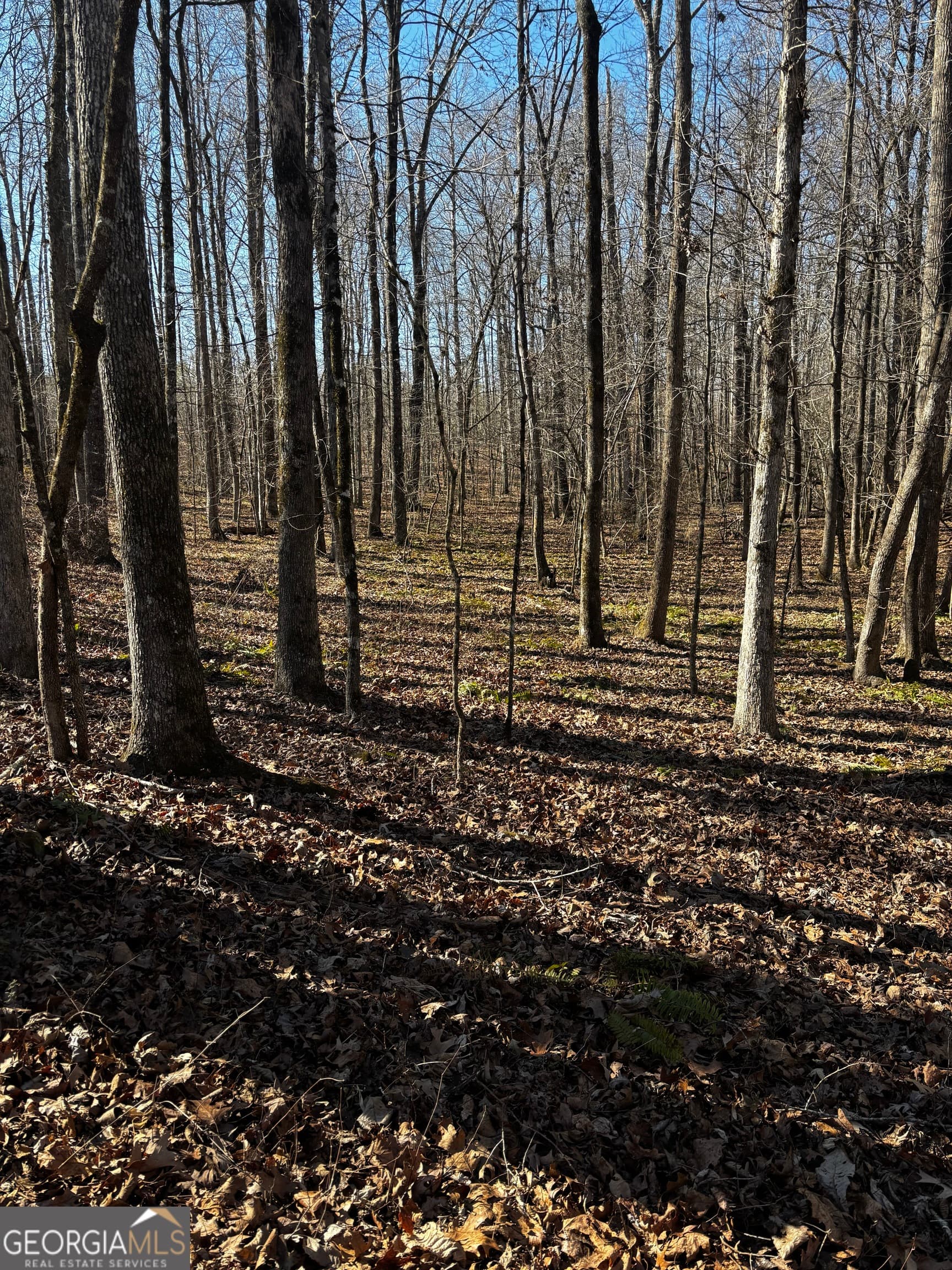 unimproved land for sale at 0 Thaxton Road, Rayle, GA 30660 — photo 8