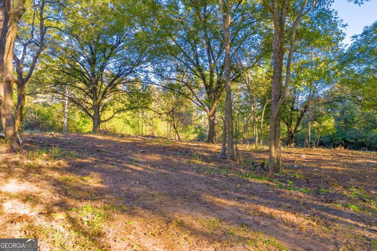 3 bedroom, 1 bathroom, 1,764 sq ft single family residence for sale at 4638 Highway 63, Carnesville, GA 30521 — photo 9