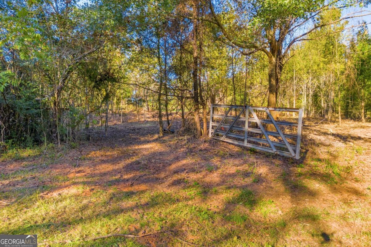 3 bedroom, 1 bathroom, 1,764 sq ft single family residence for sale at 4638 Highway 63, Carnesville, GA 30521 — photo 10