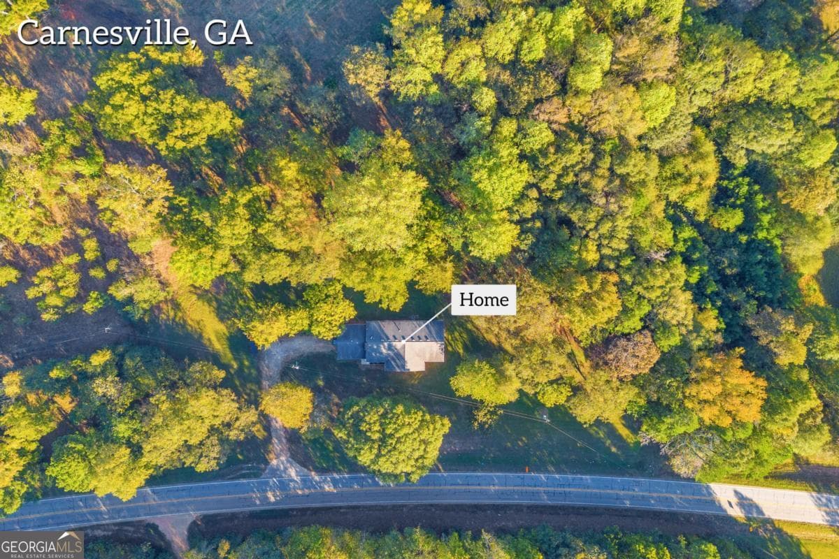 3 bedroom, 1 bathroom, 1,764 sq ft single family residence for sale at 4638 Highway 63, Carnesville, GA 30521 — photo 4