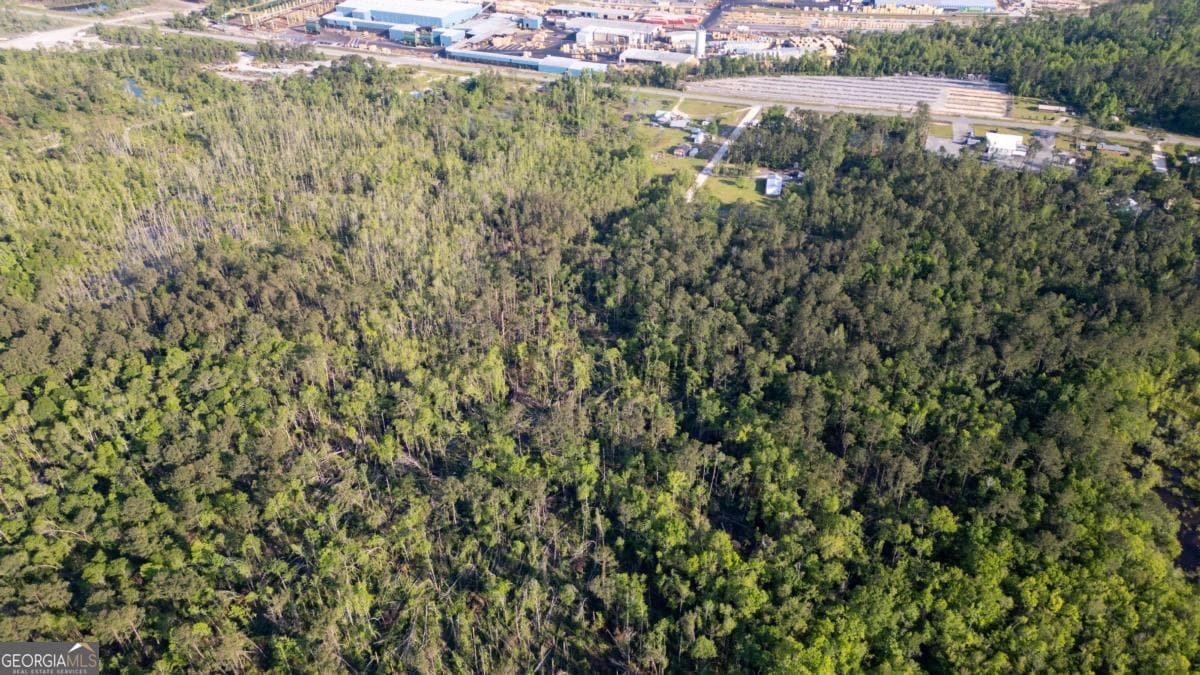 unimproved land for sale at 0 Walter Phillips Road, Hazlehurst, GA 31539 — photo 2