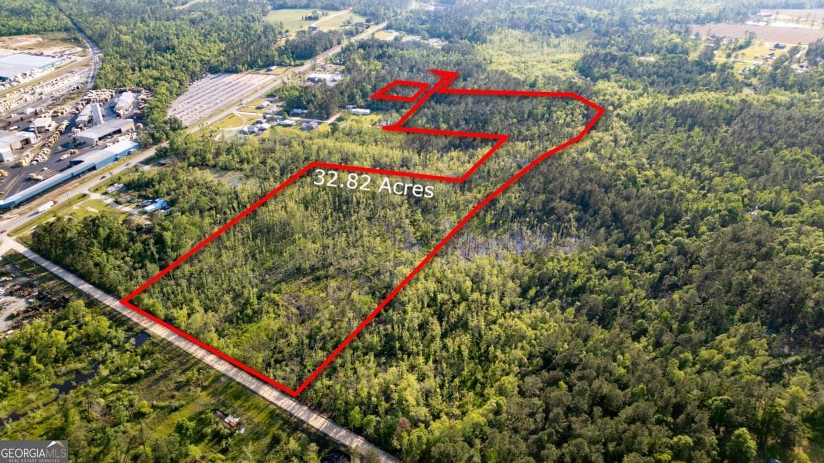 unimproved land for sale at 0 Walter Phillips Road, Hazlehurst, GA 31539 — photo 3