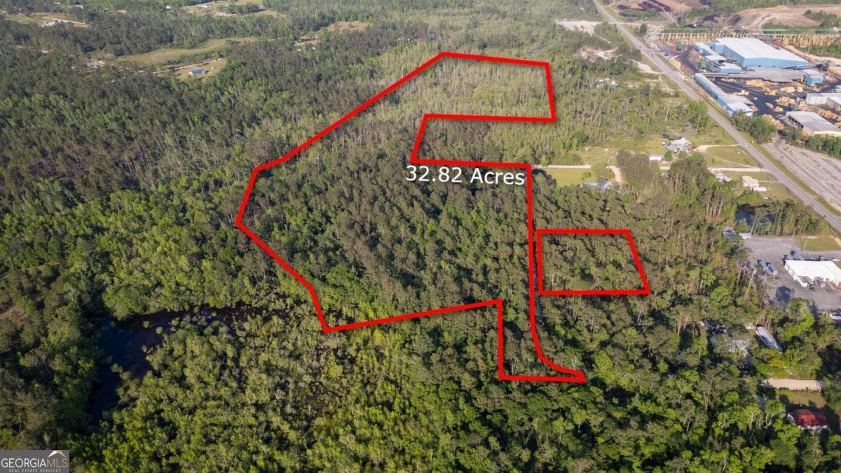 unimproved land for sale at 0 Walter Phillips Road, Hazlehurst, GA 31539 — photo 1 of 6