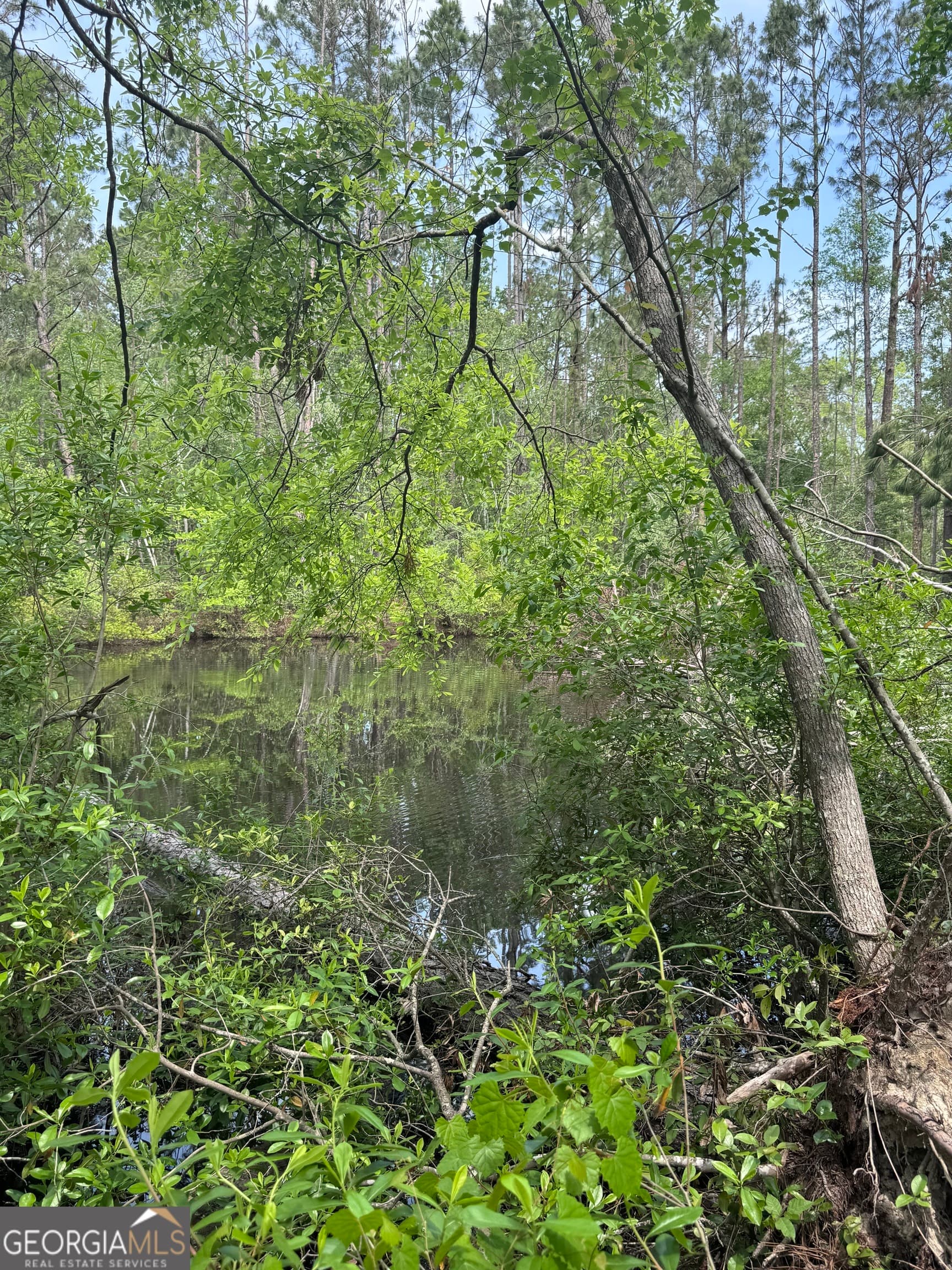 unimproved land for sale at 0 Walter Phillips Road, Hazlehurst, GA 31539 — photo 5