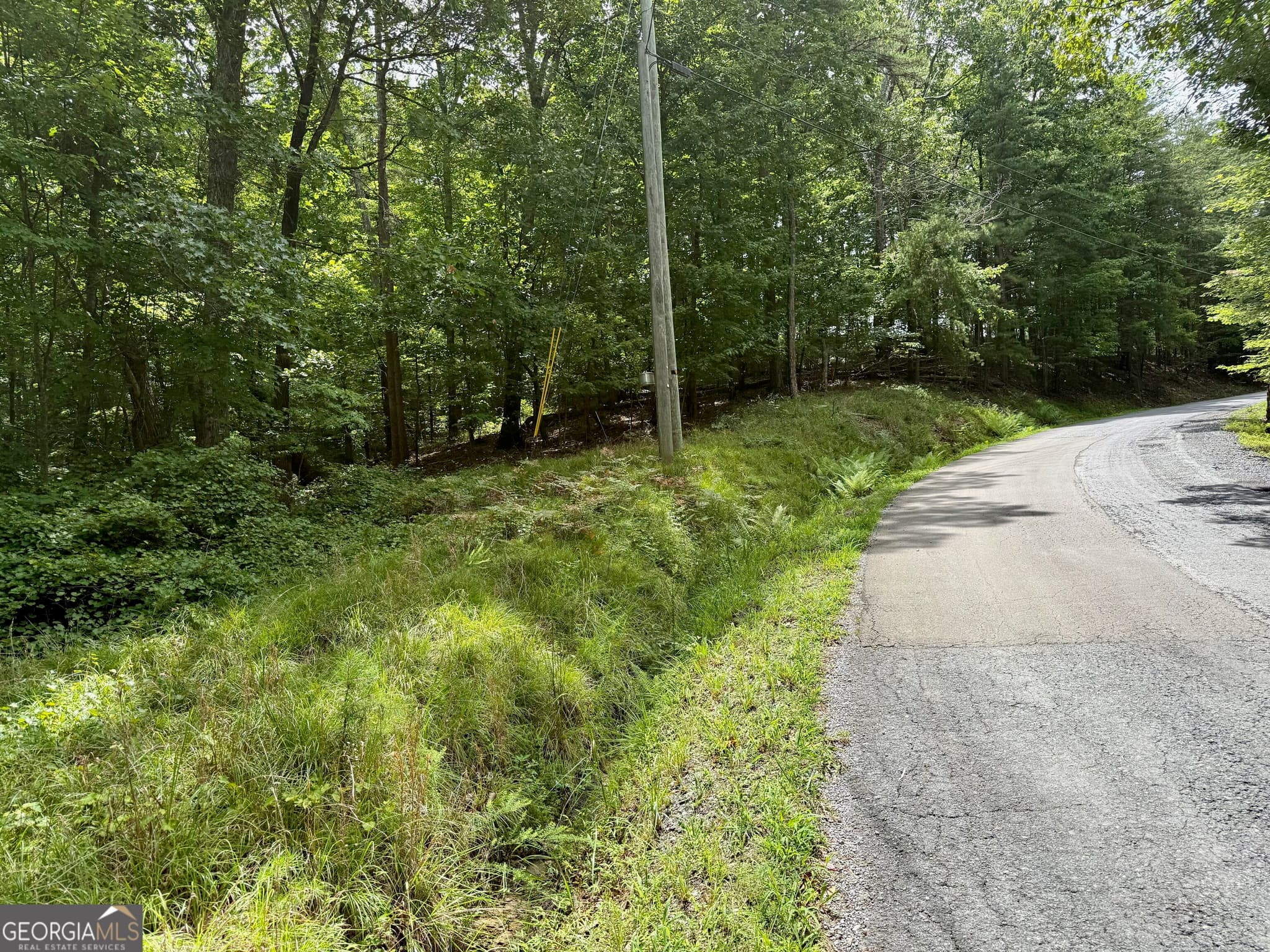 residential lot for sale at LOT 7 Stirratt Road, Ranger, GA 30734 — photo 2