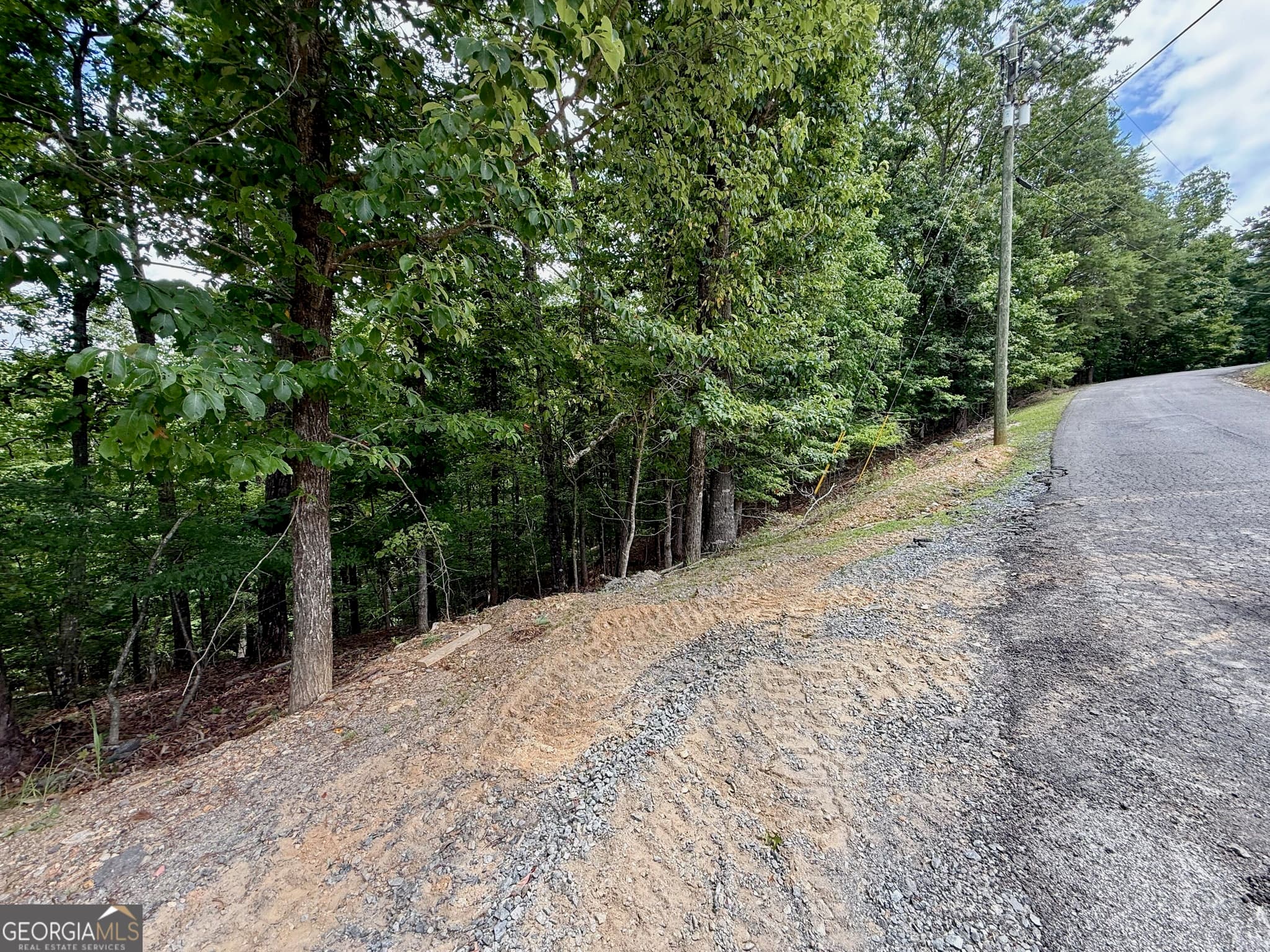 residential lot for sale at LOT 7 Stirratt Road, Ranger, GA 30734 — photo 6