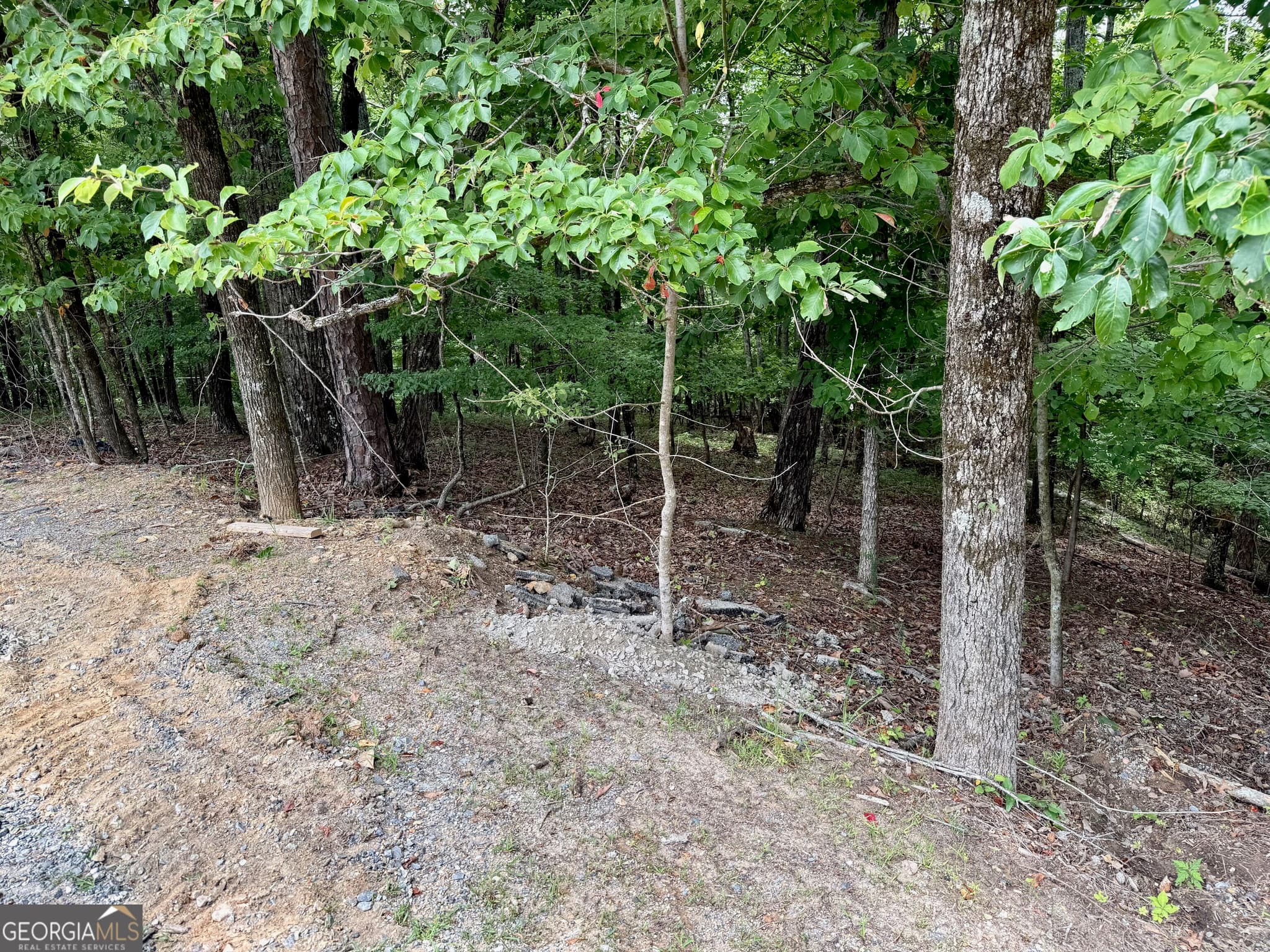 residential lot for sale at LOT 7 Stirratt Road, Ranger, GA 30734 — photo 3