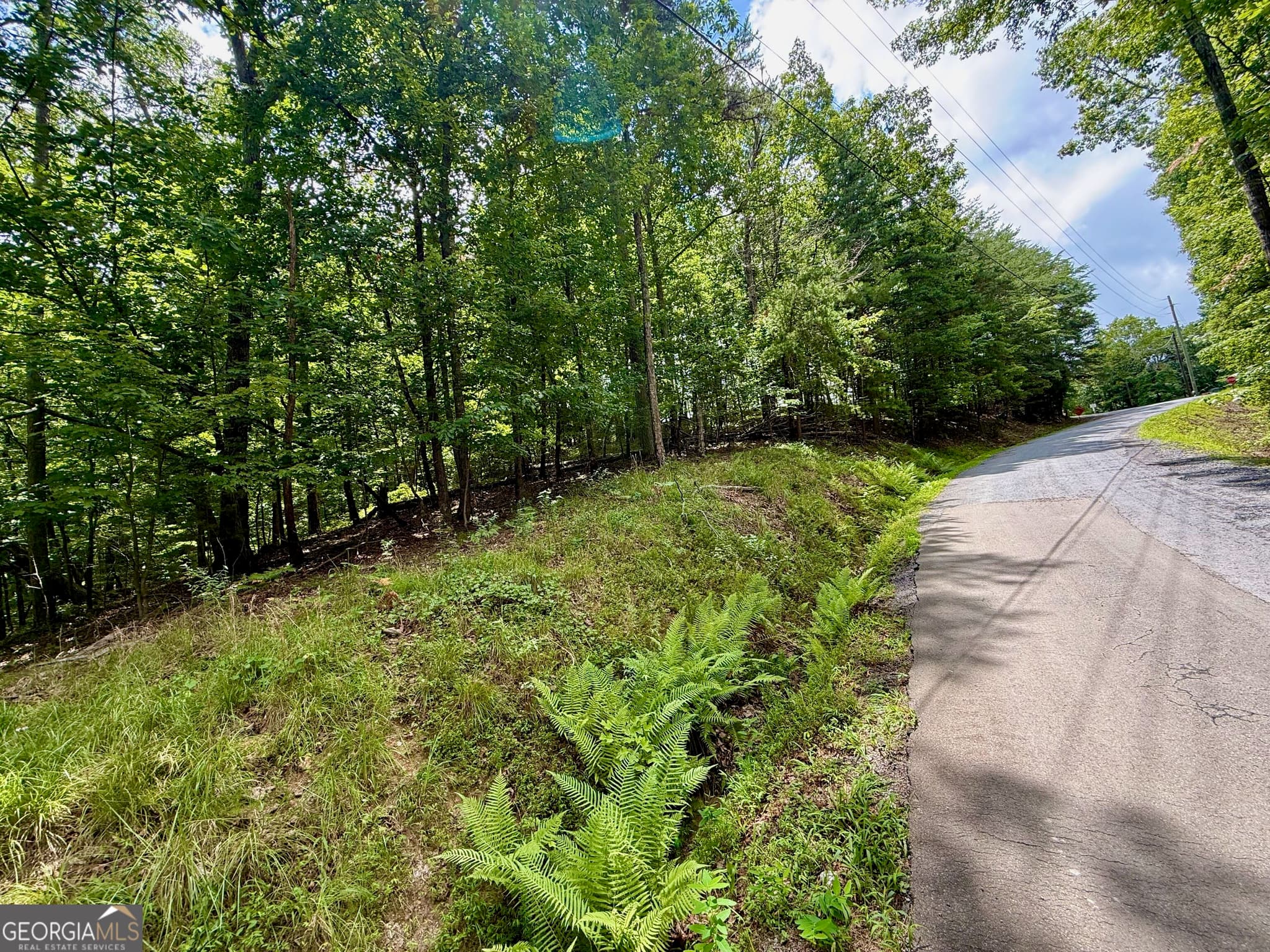 residential lot for sale at LOT 7 Stirratt Road, Ranger, GA 30734 — photo 1 of 19