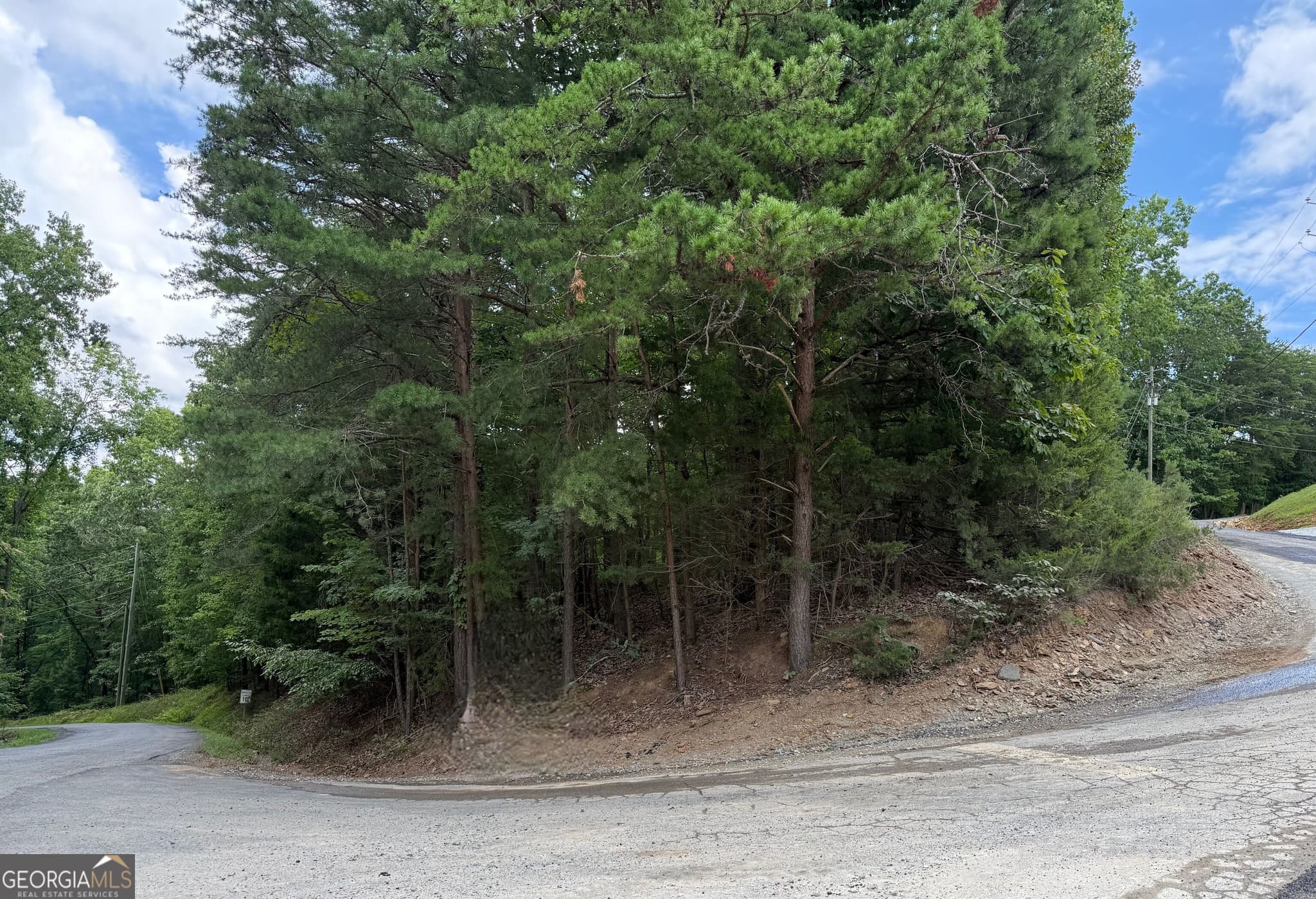 residential lot for sale at LOT 7 Stirratt Road, Ranger, GA 30734 — photo 5