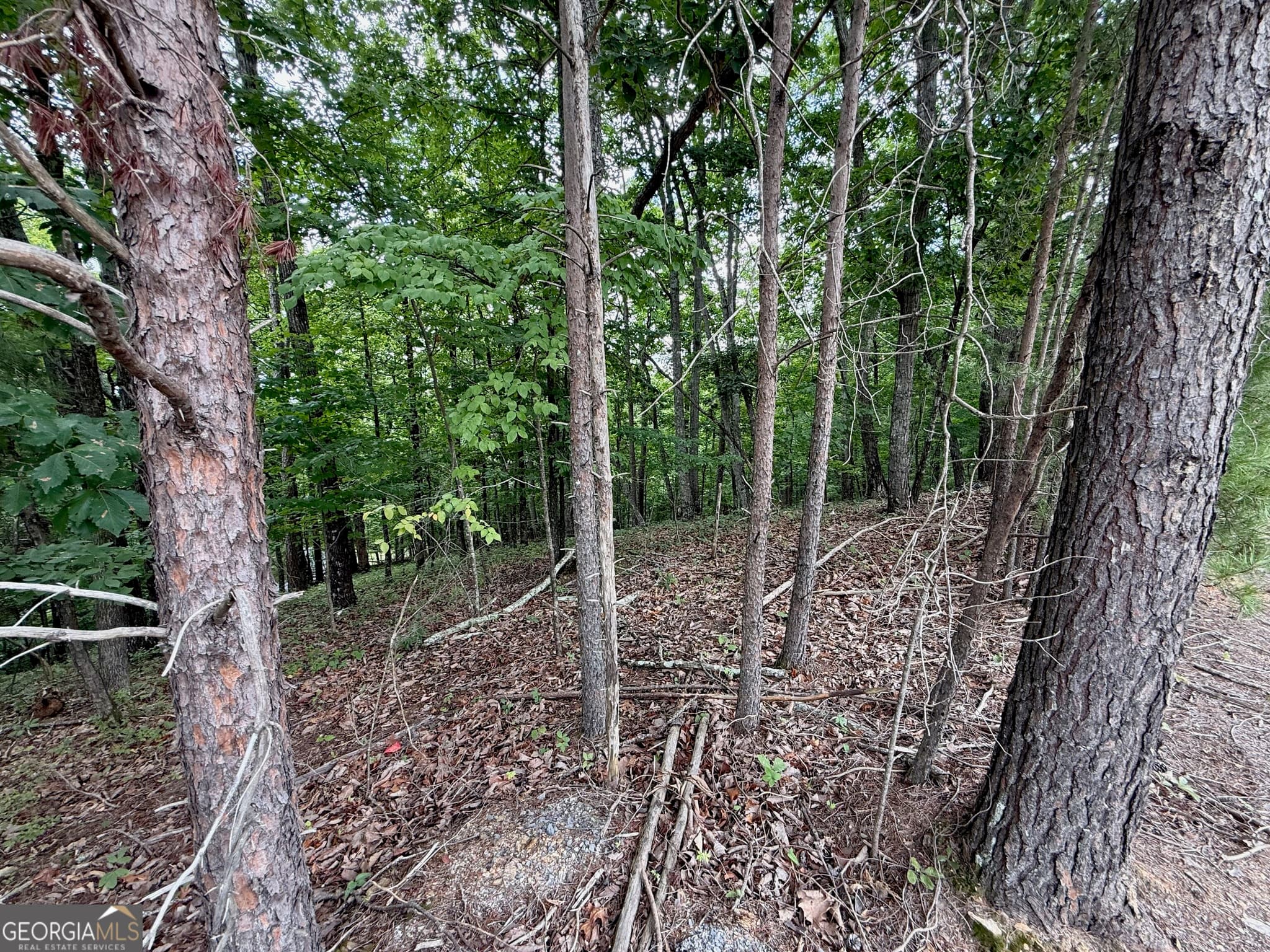 residential lot for sale at LOT 7 Stirratt Road, Ranger, GA 30734 — photo 9