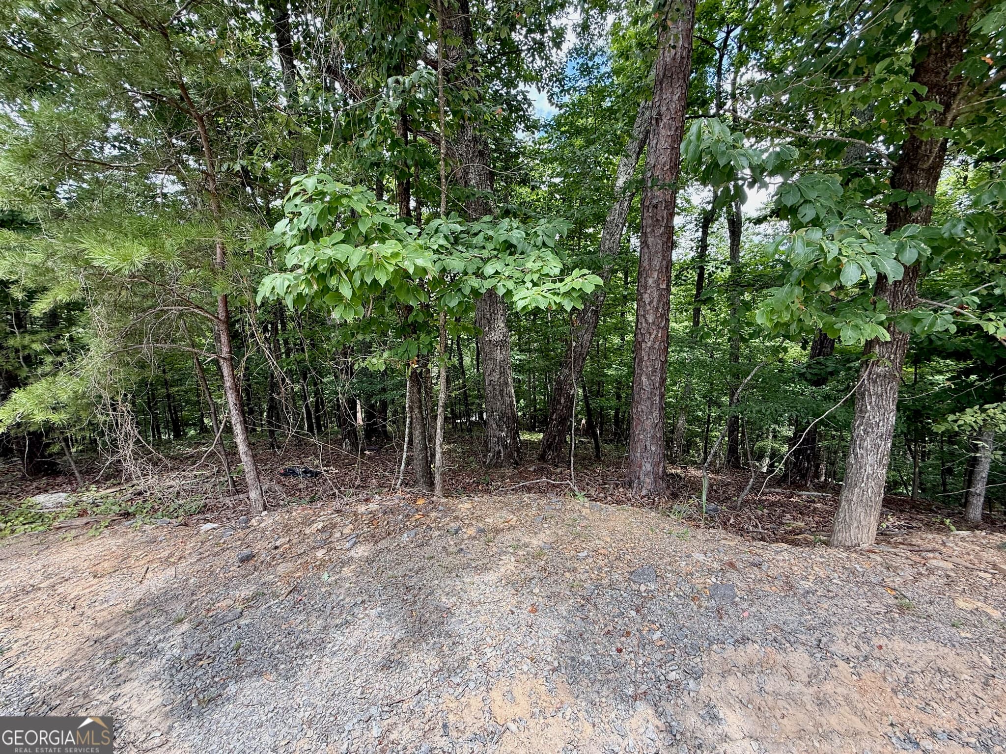 residential lot for sale at LOT 7 Stirratt Road, Ranger, GA 30734 — photo 10