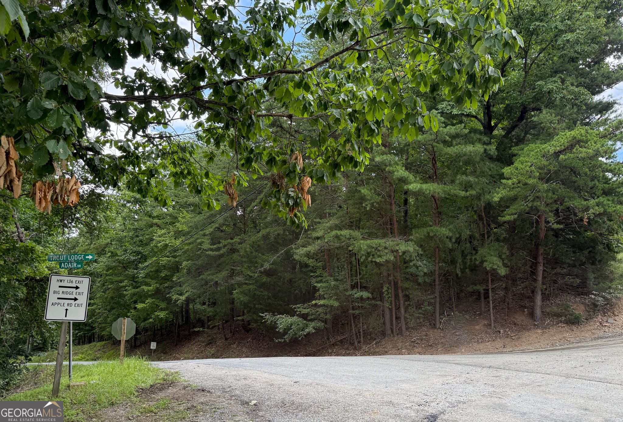 residential lot for sale at LOT 7 Stirratt Road, Ranger, GA 30734 — photo 4